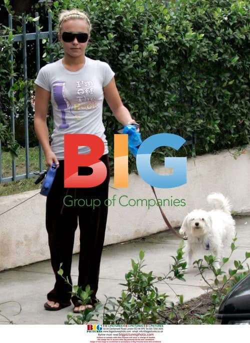 Hayden Panettiere Walking Dogs in West Hollywood
