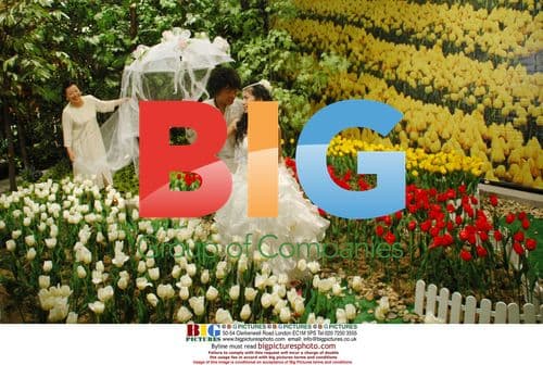 Wedding party 'Wedding in the Nature' in China