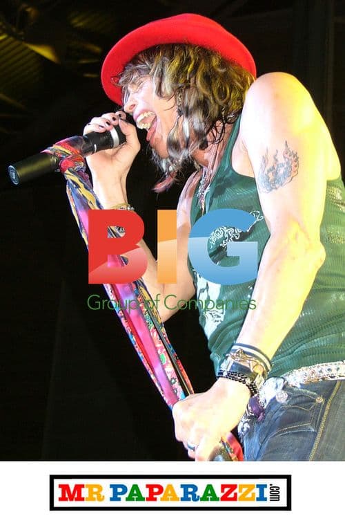 Liv Tyler and Son Watch Steven Tyler Concert