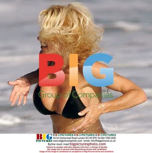 Pam Anderson and Rick Solomon Enjoy Malibu Beach