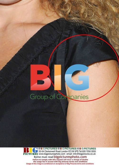 Alex Kingston at National Movie Awards