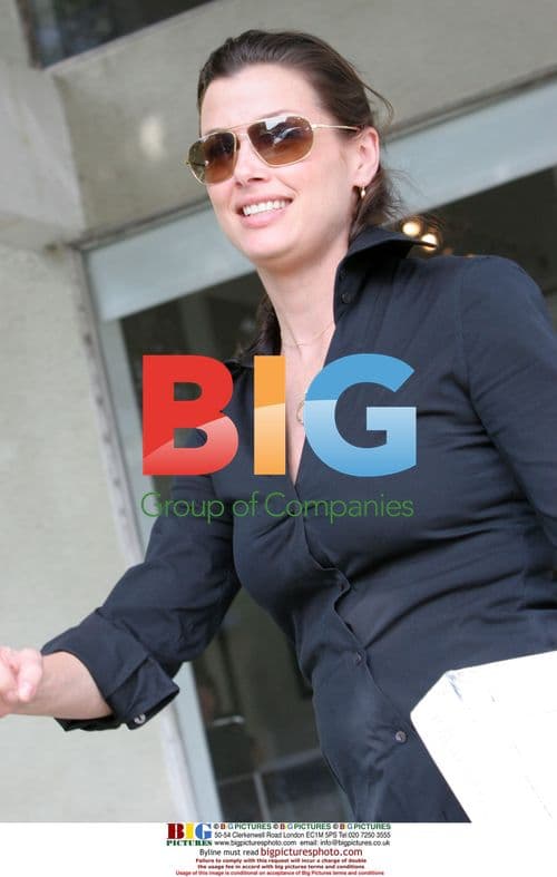 Bridget Moynahan gets help from Hunky Helper