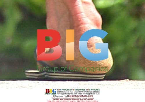 Janice Dickinson on Hawaiian Beach