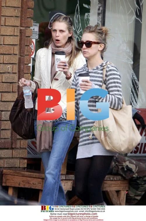 Kate Hudson Shopping with Friend