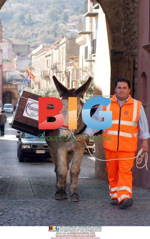 Donkeys Collect Garbage in Italian Village