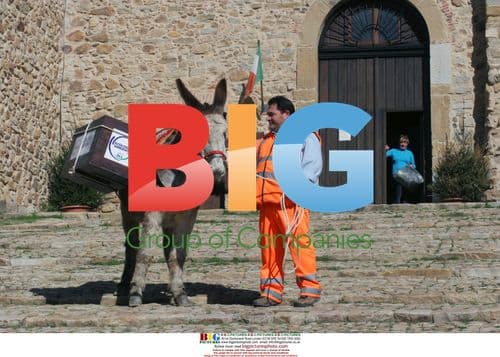 Donkeys Collect Garbage in Italian Town
