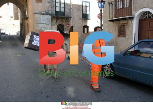 Donkeys Collect Garbage in Italian Village