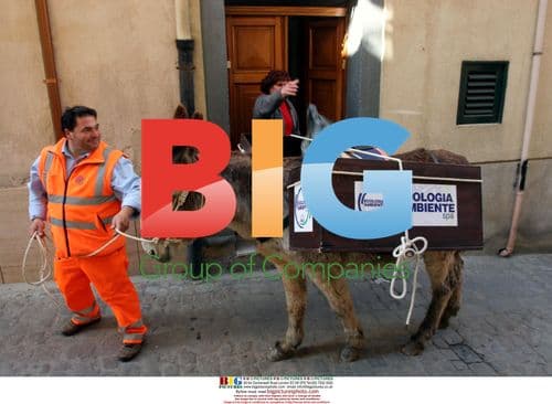 Donkeys Collect Garbage in Italian Village