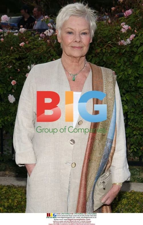 Judi Dench at BritWeek 2008 Champagne Launch