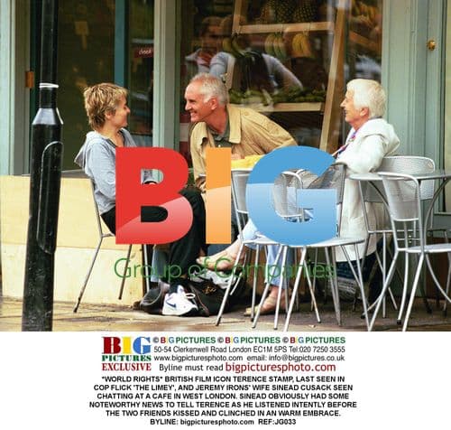 Terence Stamp and Elizabeth O'Rourke Divorce