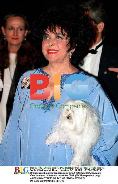 Elizabeth Taylor in Hospital
