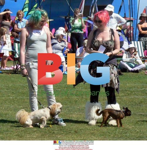 Ross Family and Dogs at Swanage Regatta Carnival