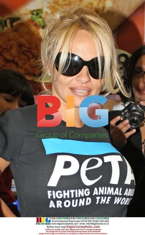 Pamela Anderson Promotes KFC Improvements