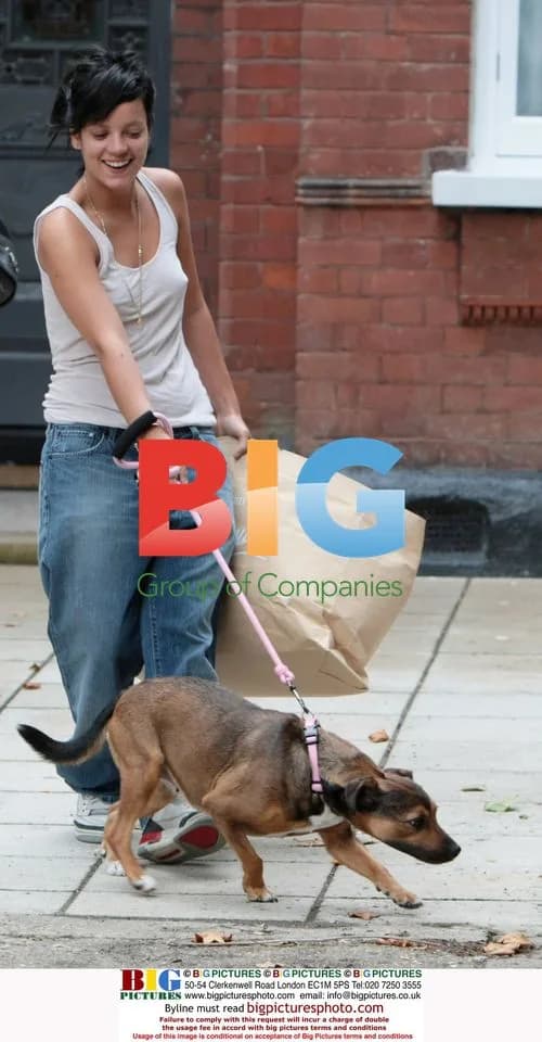 Lily Allen walks dog, drops off dry cleaning