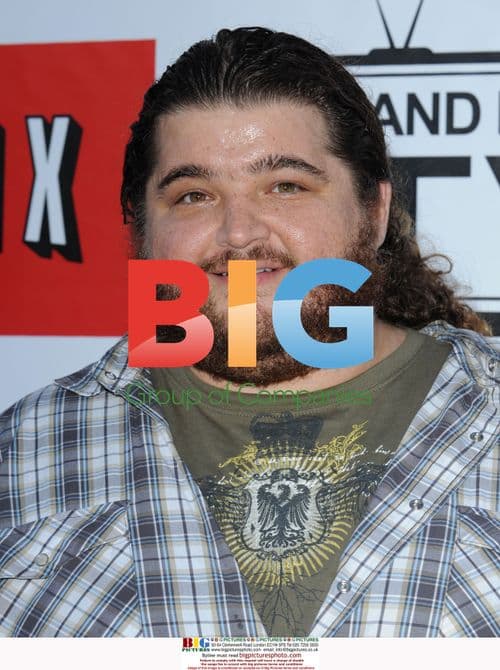 Jorge Garcia at 'Netflix LIVE!' Concert
