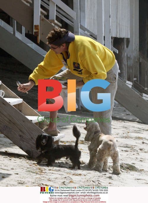 David Hasselhoff Eating Cereal with Dogs