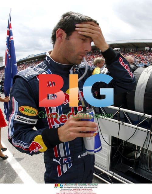 Mark Webber Walks Away from Pits