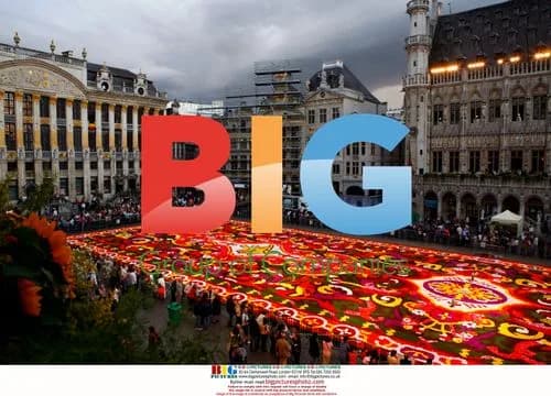 Brussels Flower Carpet 2008
