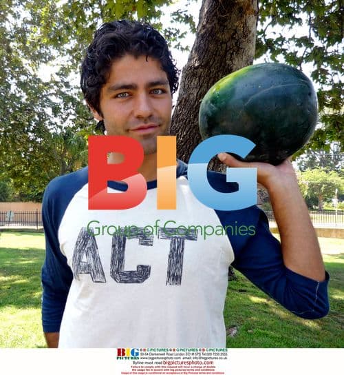 Adrian Grenier Enjoys Picnic in LA