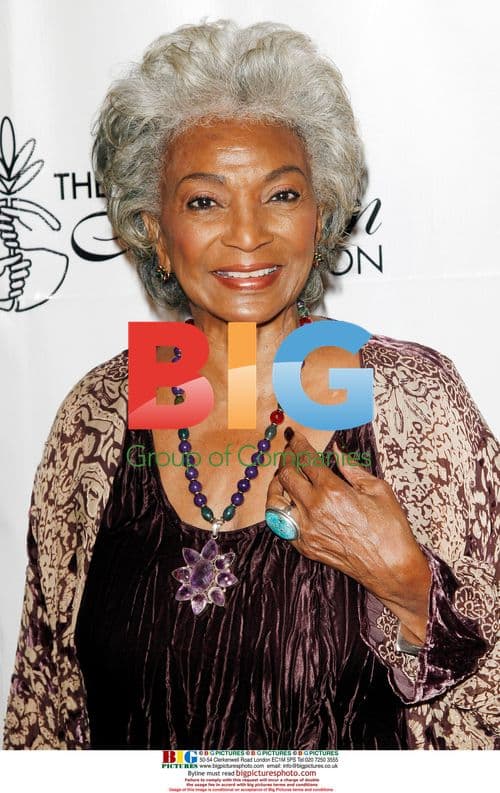 Nichelle Nichols at 23rd Annual IMAGEN Awards
