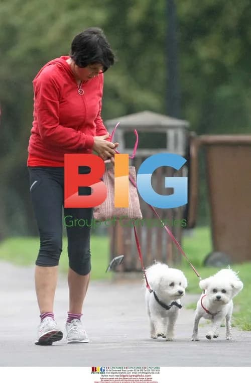 Sadie Frost walks her dogs, drops phone