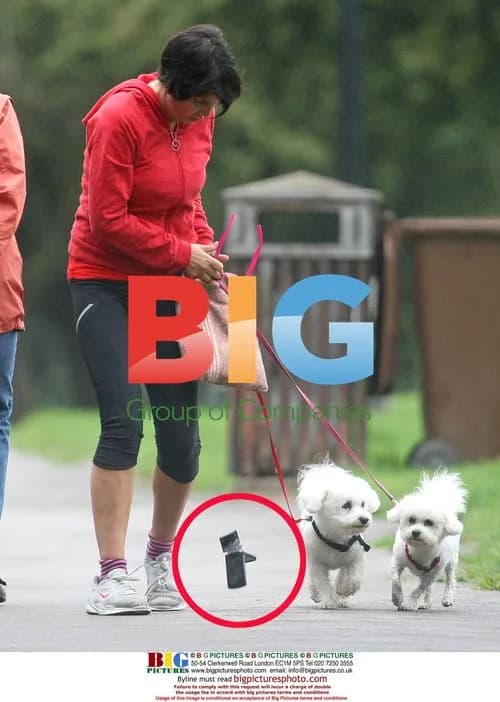 Sadie Frost's Phone Mishap