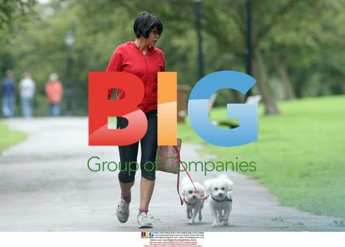 Sadie Frost Walks Dogs in London