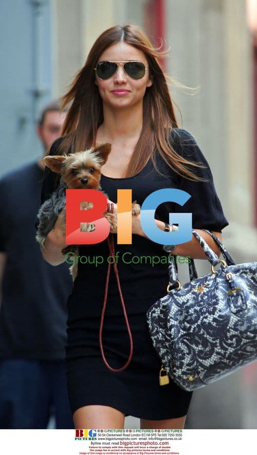 Miranda Kerr Hails Cab with Yorkie