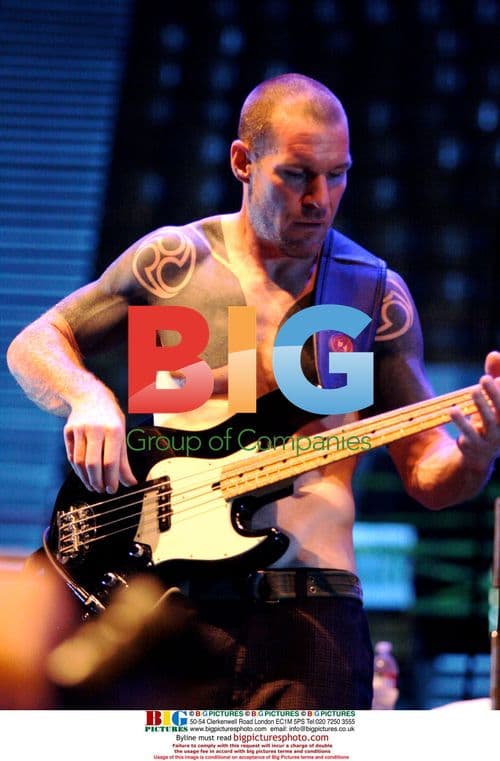 Rage Against the Machine at DNC 2008 Protest