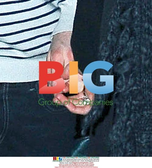 Pixie Geldof and Mystery Man