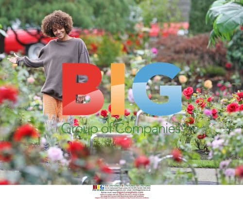 Halle Berry and Stellan Skarsgrd film Frankie and Alice