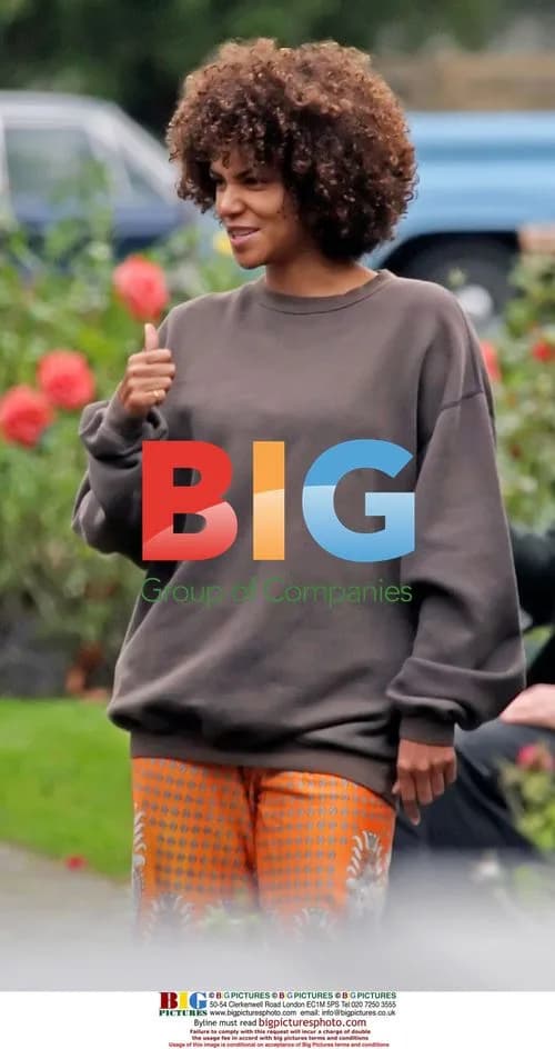 Halle Berry and Stellan Skarsgrd Film Frankie and Alice