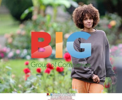 Halle Berry and Stellan Skarsgrd film Frankie and Alice