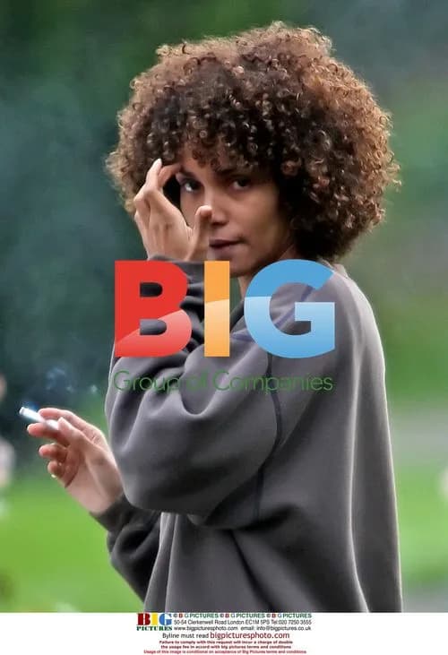 Halle Berry and Stellan Skarsgrd Film 'Frankie and Alice'