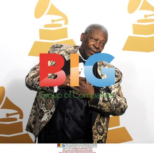 B.B. King at Grammy Nominations Concert