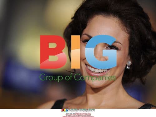 Nothing Like the Holidays Premiere