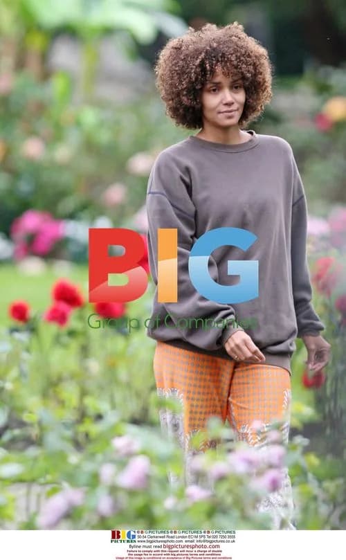 Halle Berry and Stellan Skarsgrd Film Frankie and Alice