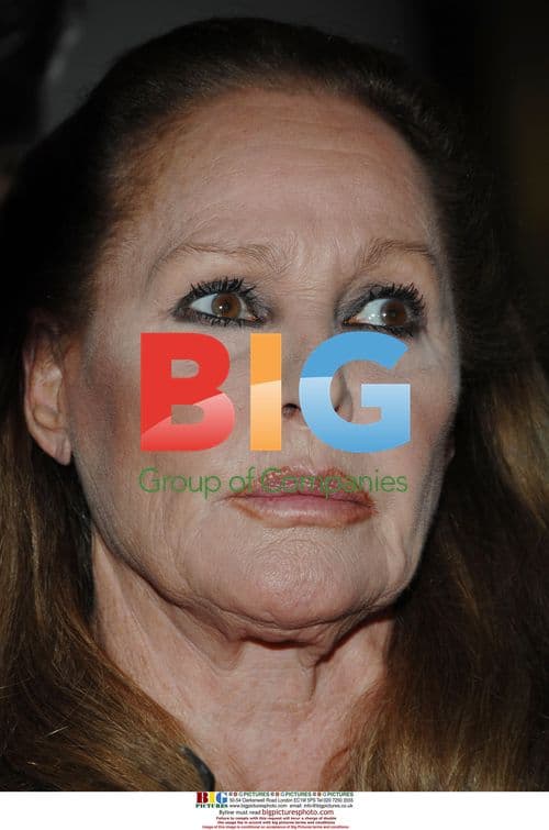 Ursula Andress at Montecarlo film festival