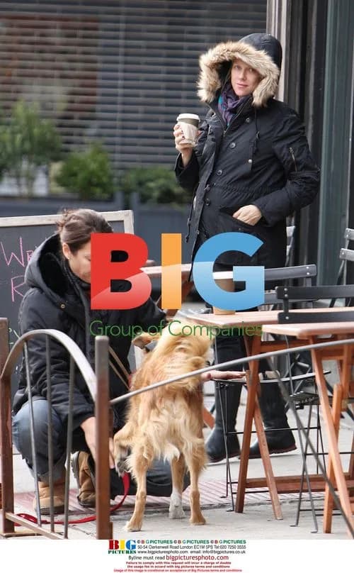 Pregnant Naomi Watts Out with Friend