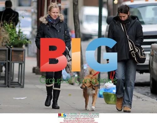Pregnant Naomi Watts Braves Chill in NYC