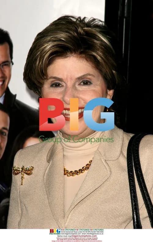 Gloria Allred at "Nothing Like The Holidays" Premiere