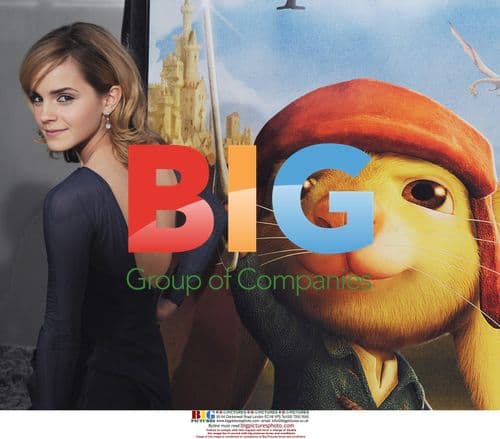 Emma Watson Attends 'Despereaux' Premiere