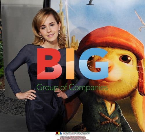 Emma Watson at 'The Tale of Despereaux' premiere