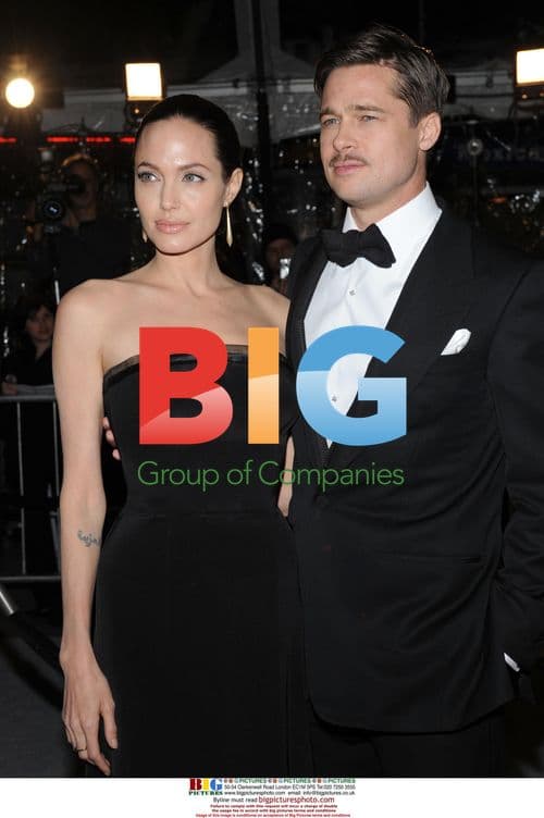 Brad Pitt and Angelina Jolie at "The Curious Case of Benjamin Button" Premiere