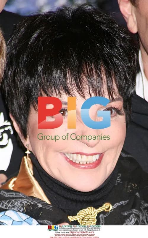 LIZA MINNELLI powers Times Square 2009 sign