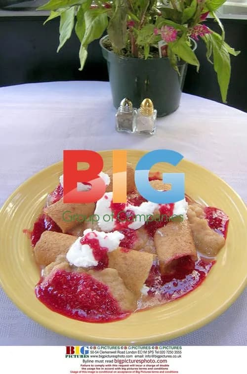 Britney Spears Diet Revealed
