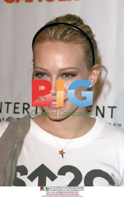 Hilary Duff Attends SU2C Party