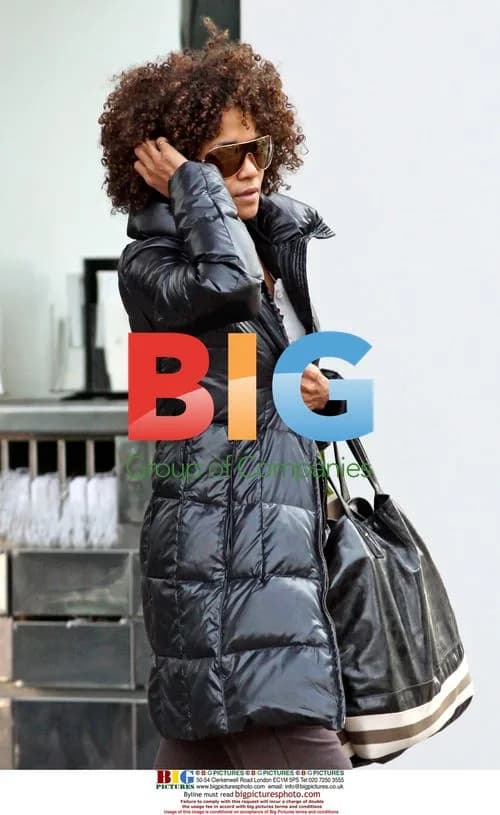 Halle Berry and boyfriend move boxes