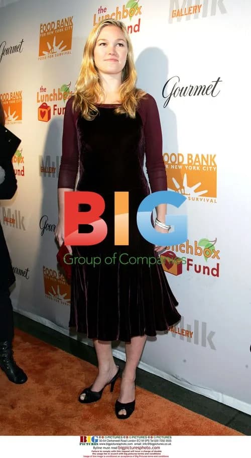Julia Stiles at Lunchbox Auction in NY