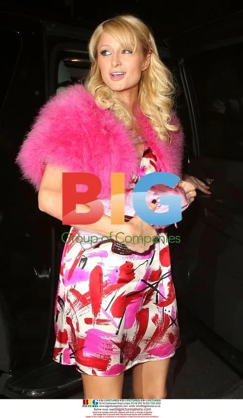 Paris Hilton's Night Out at Echo Nightclub